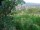 Webcam in Feuerbach, 3.7 mi away