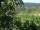 Webcam in Feuerbach, 8.5 mi away