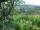Webcam in Feuerbach, 4 mi away