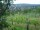 Webcam in Feuerbach, 2.3 mi away