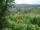 Webcam in Feuerbach, 5.1 km
