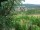 Webcam in Feuerbach, 8.9 km