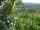 Webcam in Feuerbach, 9.4 km