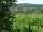 Webcam in Feuerbach, 6.6 mi away
