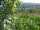 Webcam in Feuerbach, 9.4 km