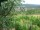 Webcam in Feuerbach, 8.5 mi away
