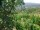 Webcam in Feuerbach, 7.5 mi away