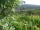 Webcam in Feuerbach, 4.8 mi away