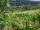 Webcam in Feuerbach, 3.7 mi away