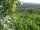 Webcam in Feuerbach, 8.5 mi away