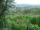 Webcam in Feuerbach, 22 km