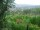 Webcam in Feuerbach, 22 km