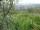 Webcam in Feuerbach, 6.6 mi away