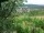 Webcam in Feuerbach, 2 mi away