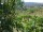Webcam in Feuerbach, 9.6 mi away