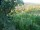 Webcam in Feuerbach, 22 km