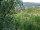 Webcam in Feuerbach, 10.9 km entfernt