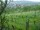 Webcam in Feuerbach, 8.5 mi away