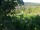 Webcam in Feuerbach, 8.9 km entfernt