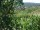 Webcam in Feuerbach, 26.6 km