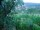 Webcam in Feuerbach, 5.4 km