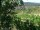 Webcam in Feuerbach, 8.5 mi away