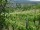 Webcam in Feuerbach, 22 km