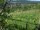 Webcam in Feuerbach, 4.8 mi away