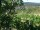 Webcam in Feuerbach, 2.8 km