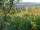 Webcam in Feuerbach, 3.7 mi away