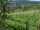 Webcam in Feuerbach, 12.3 km