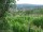 Webcam in Feuerbach, 1.9 mi away