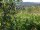 Webcam in Feuerbach, 16.3 mi away