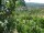 Webcam in Feuerbach, 2.8 km