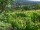 Webcam in Feuerbach, 7.6 km