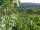 Webcam in Feuerbach, 1.9 mi away