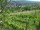 Webcam in Feuerbach, 8.5 mi away