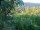 Webcam in Feuerbach, 4.8 mi away