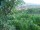 Webcam in Feuerbach, 17 km
