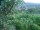 Webcam in Feuerbach, 15.9 km