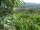 Webcam in Feuerbach, 3 km