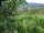 Webcam in Feuerbach, 6 km