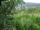 Webcam in Feuerbach, 4.7 km