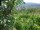 Webcam in Feuerbach, 7.7 km entfernt