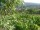 Webcam in Feuerbach, 17.2 km
