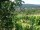 Webcam in Feuerbach, 4.4 mi away