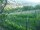 Webcam in Feuerbach, 4 mi away
