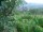Webcam in Feuerbach, 18.6 km