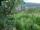 Webcam in Feuerbach, 7 mi away