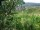 Webcam in Feuerbach, 4.7 km